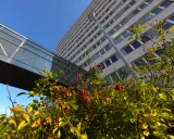 122490350_5149473551733252_2720101632362440297_o_163482.jpg 122490350_5149473551733252_2720101632362440297_o_163482.jpg